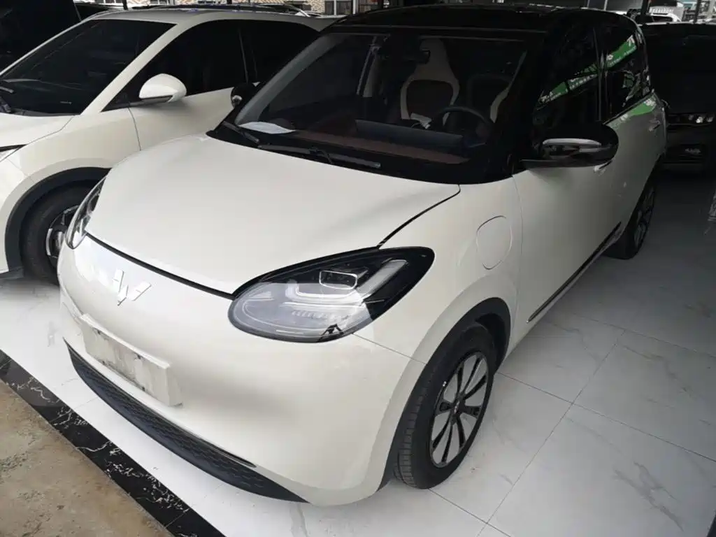 Wuling Bingo