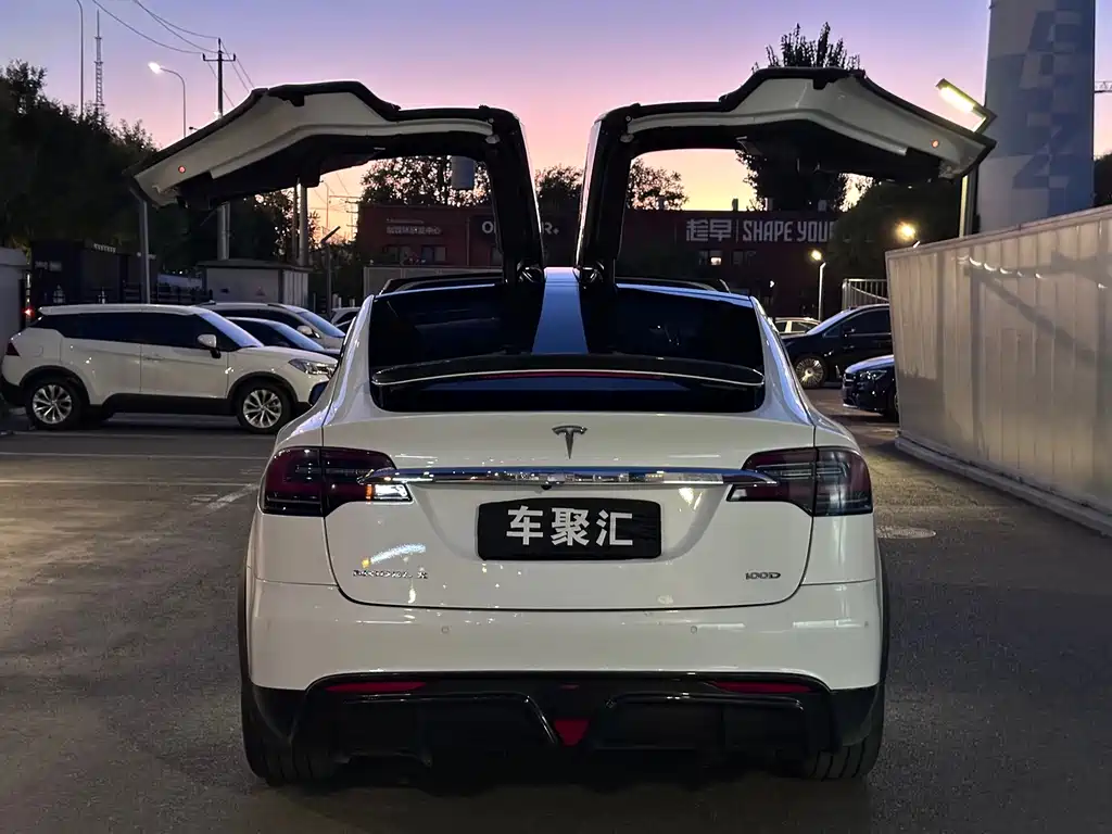 Tesla Model X — миниатюра 23