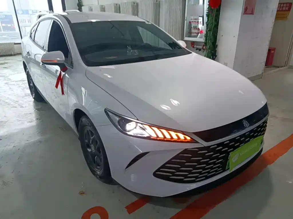BYD Qin Plus PLUS 2025 DM-i Smart Drive 55KM Lead