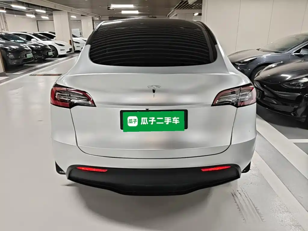 Tesla Model Y — миниатюра 6