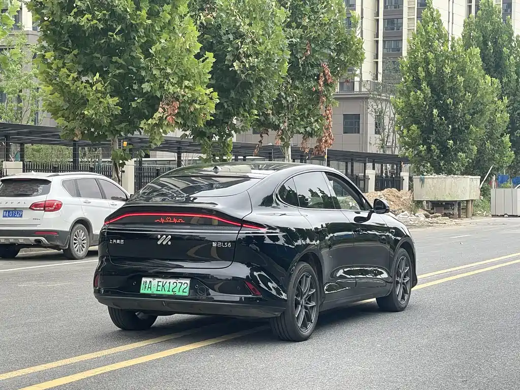 IM IM LS6 — миниатюра 9