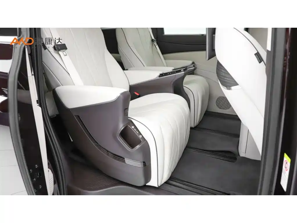 Denza Denza D9 — миниатюра 8