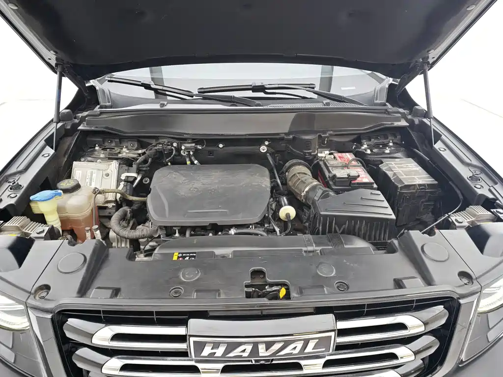 Haval Big Dog — миниатюра 21