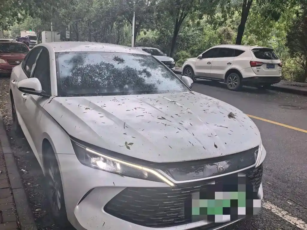 BYD Qin L — миниатюра 3