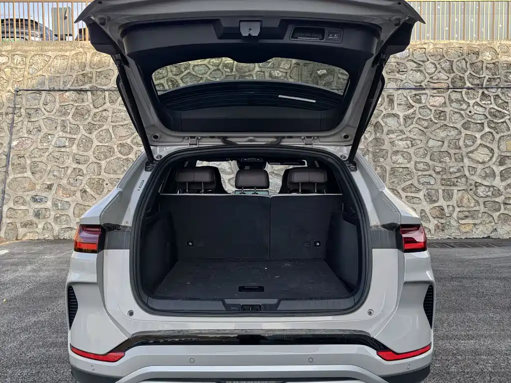 BYD SONGJIANG NEW ENERGY