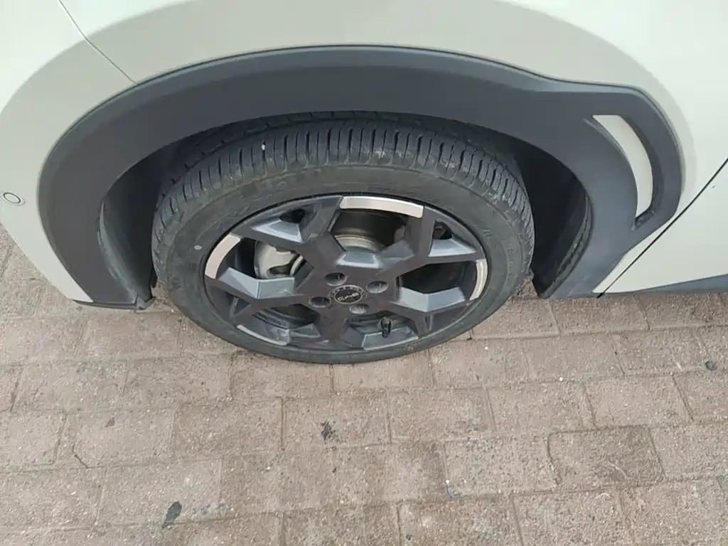 BYD Seagull — миниатюра 23
