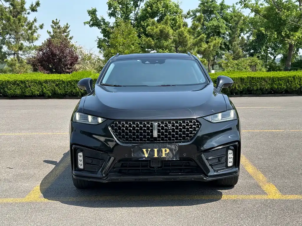 Wey Wey VV7 2019