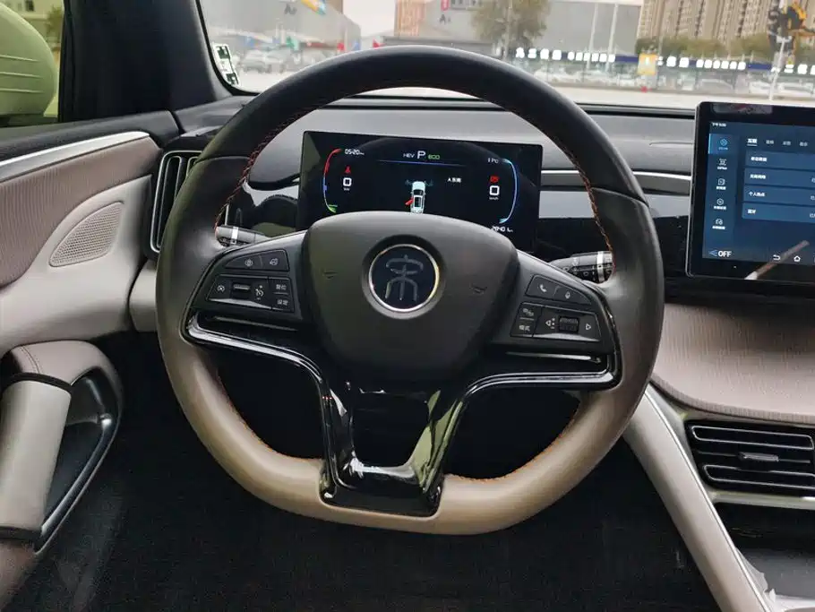 BYD Pro New Energy — миниатюра 15
