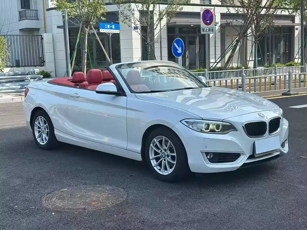 BMW 2 Series (Import) — миниатюра 2