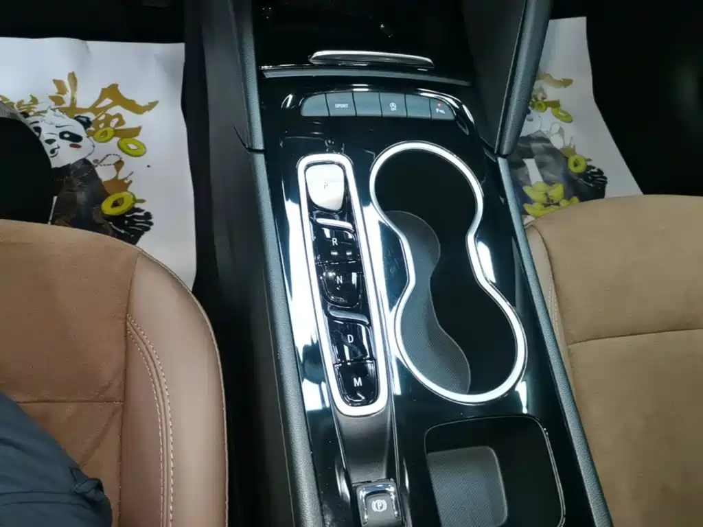 Buick Regal — миниатюра 14