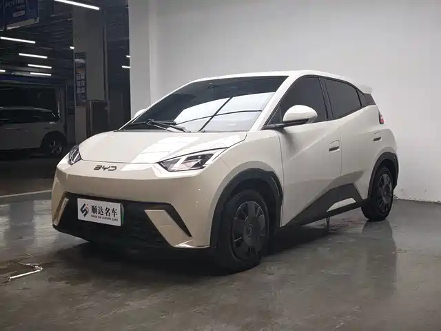 BYD Seagull