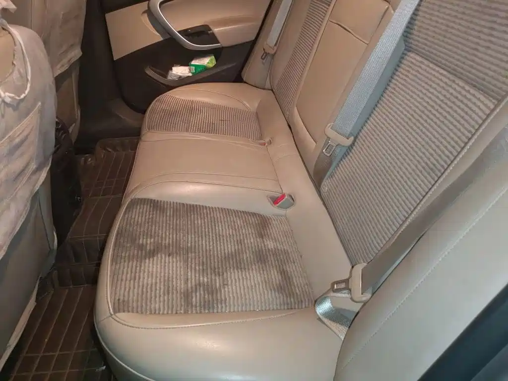 Buick Regal — миниатюра 15