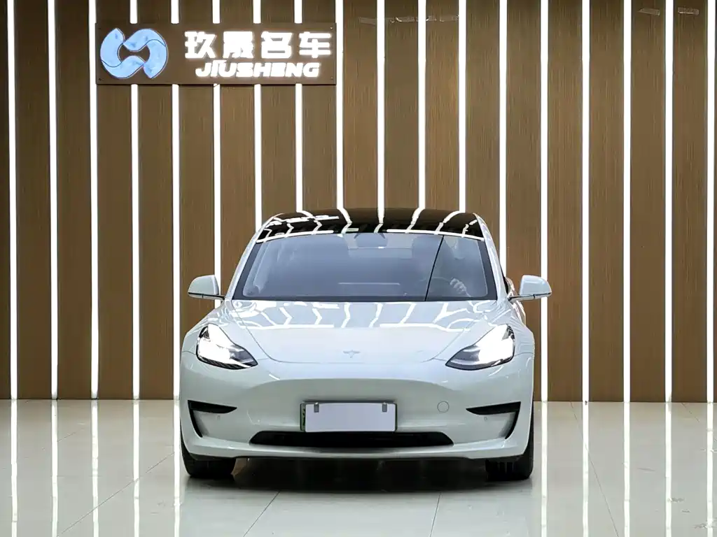Tesla Model 3 — миниатюра 2