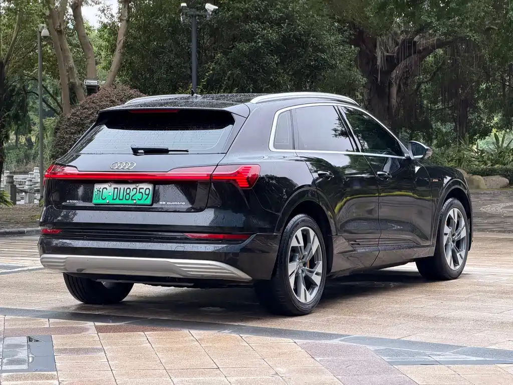 Audi e-tron (Import) — миниатюра 4
