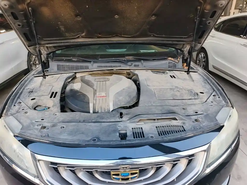 Geely Borui — миниатюра 20