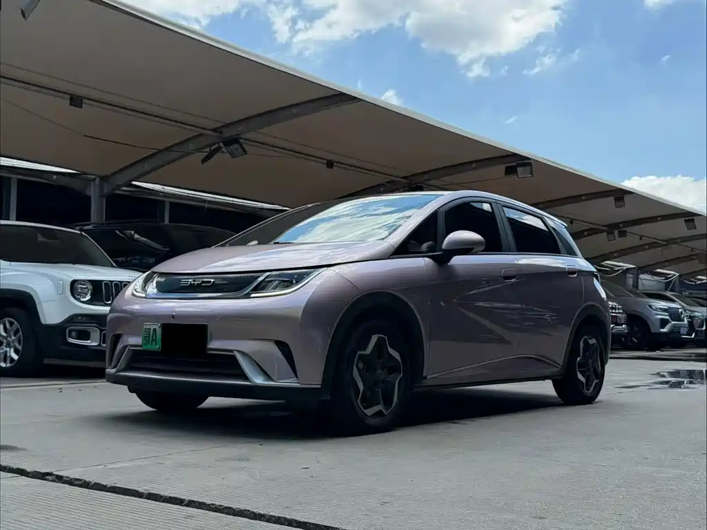 BYD Dolphin