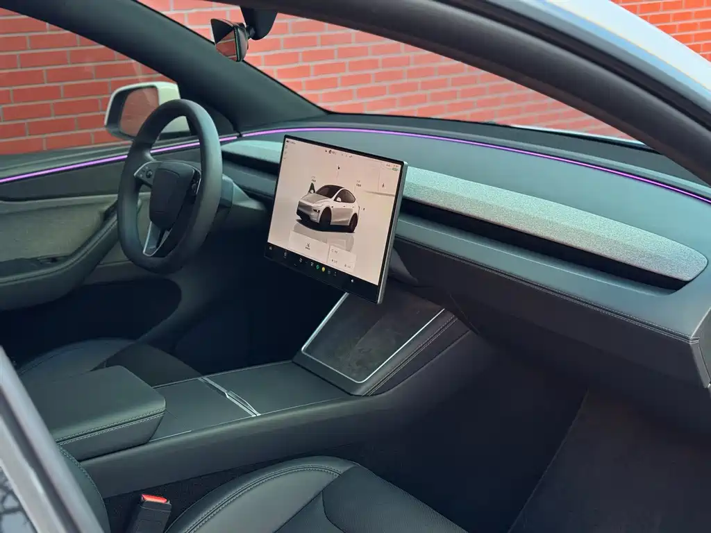 Tesla Model Y — миниатюра 13