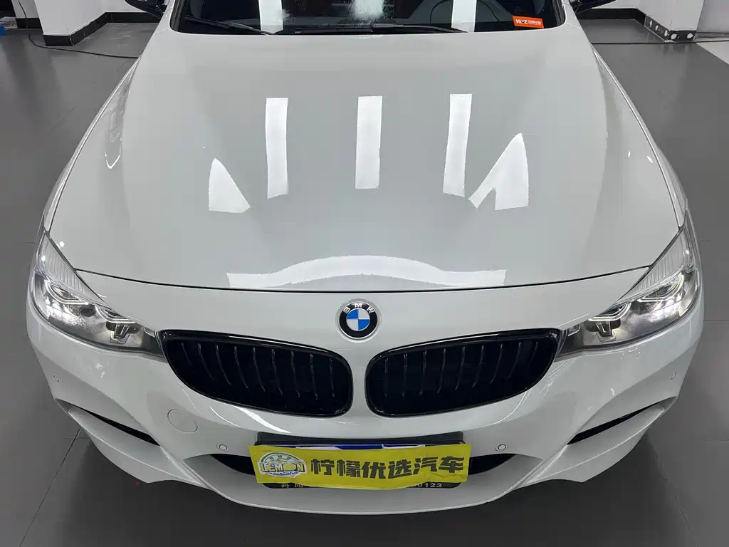 BMW 3 Series GT — миниатюра 11