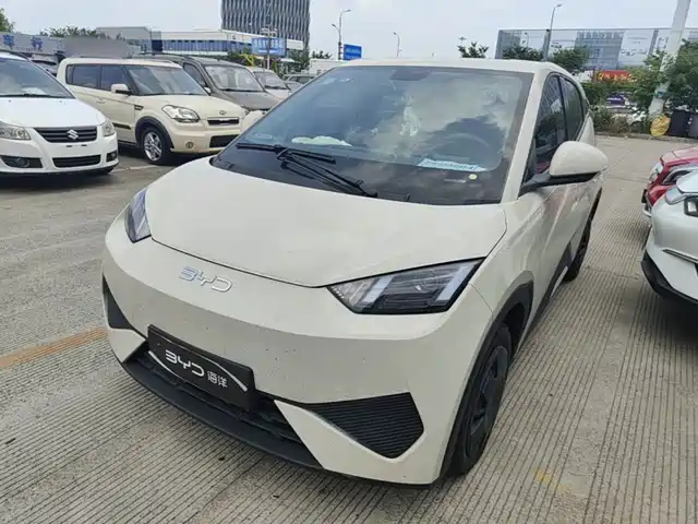 2025 BYD Seagull