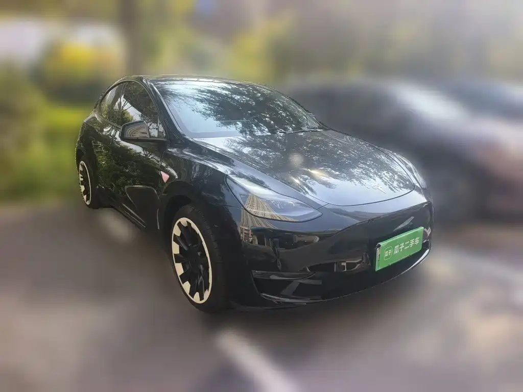 Tesla Model Y — миниатюра 3