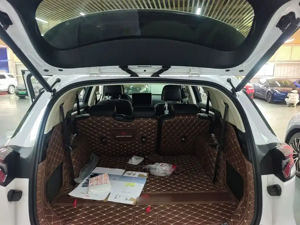 BYD Tang New Energy — миниатюра 19