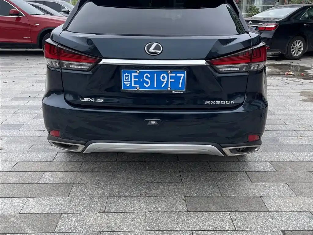 LEXUS RX