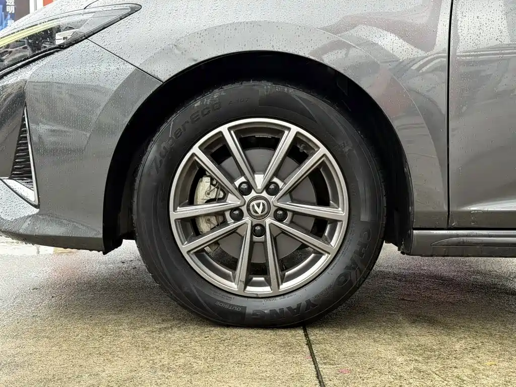 Changan Ruicheng PLUS — миниатюра 9