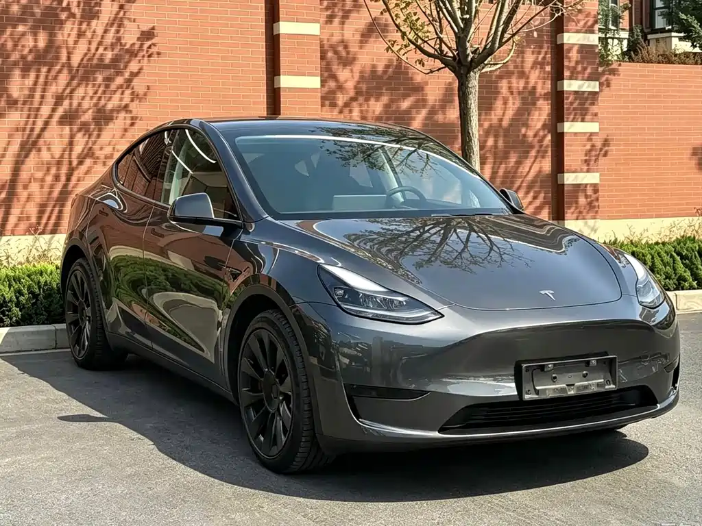 Tesla Model Y — миниатюра 3