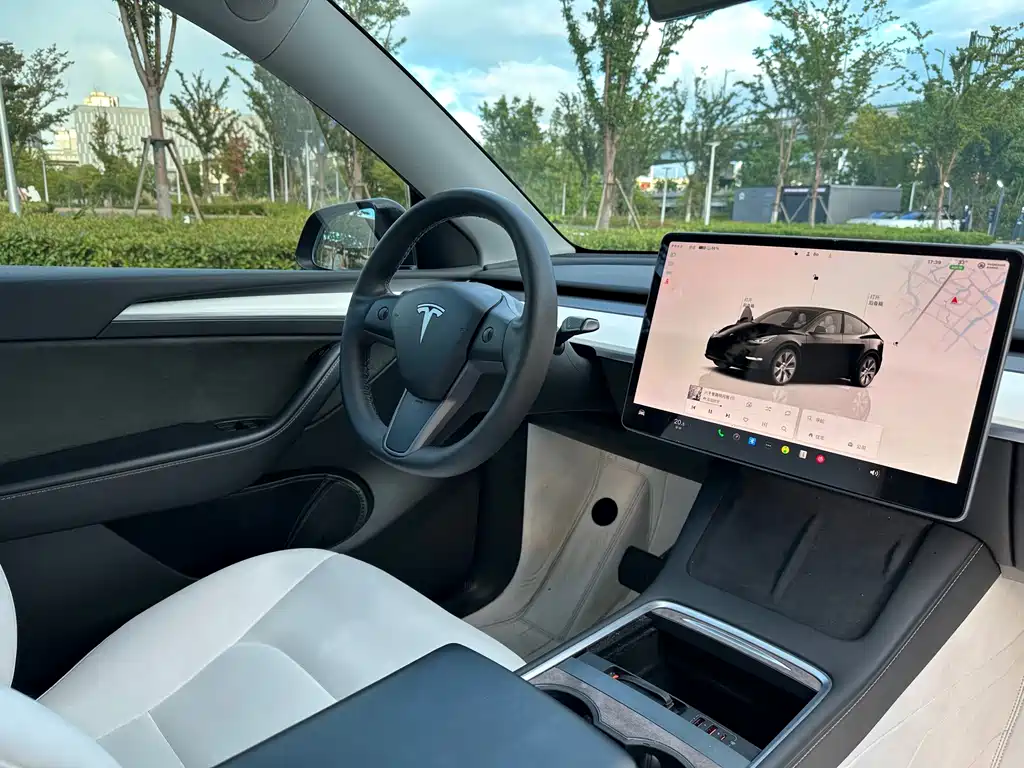 Tesla Model Y — миниатюра 11