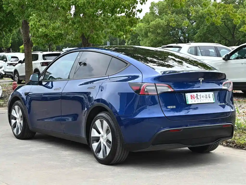 Tesla Model Y — миниатюра 3