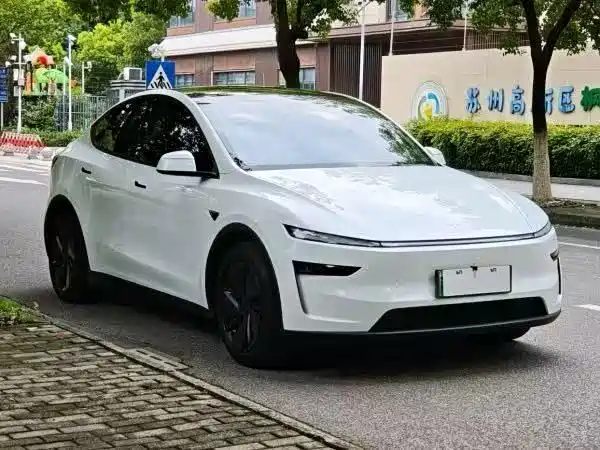 Tesla Model Y — миниатюра 2