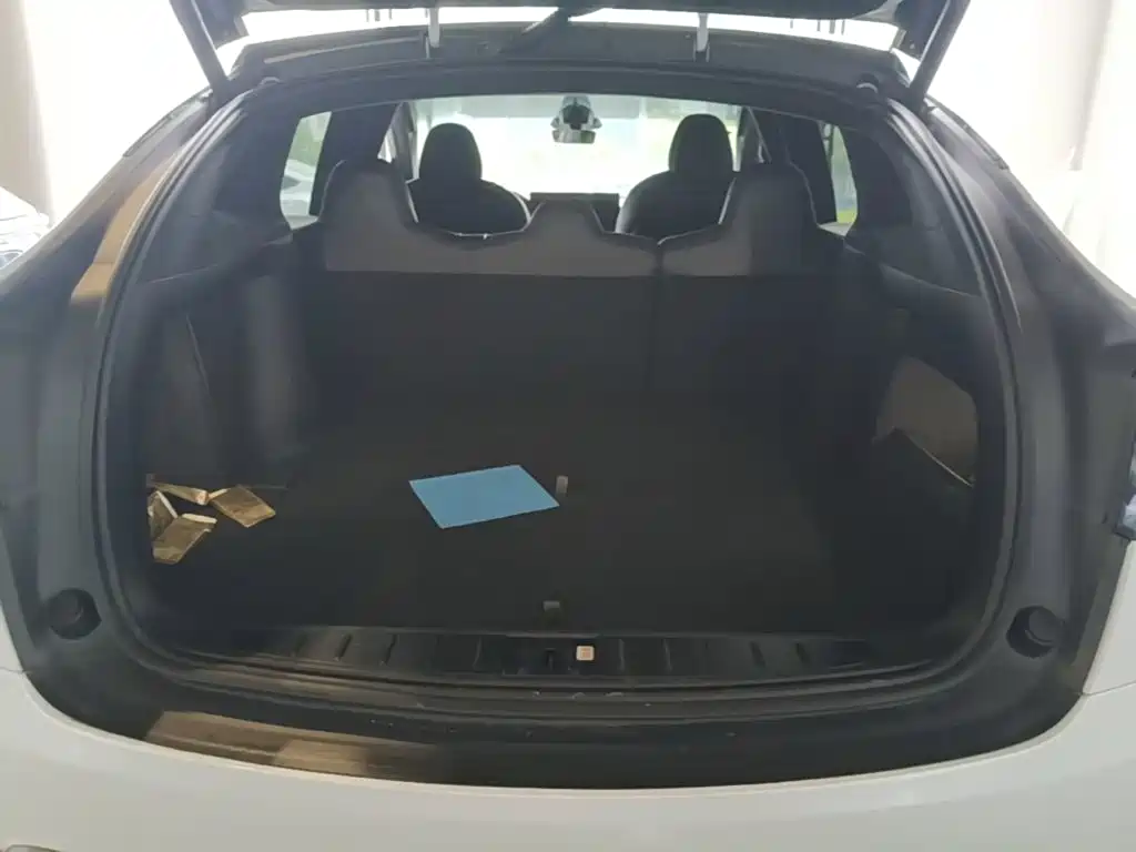 Tesla Model X — фотографии объявления, Фото 19
