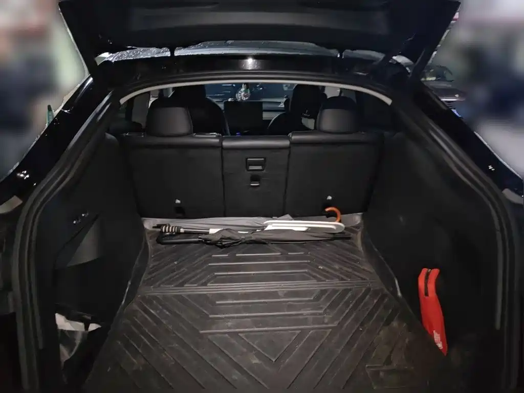 Tesla Model Y — миниатюра 20