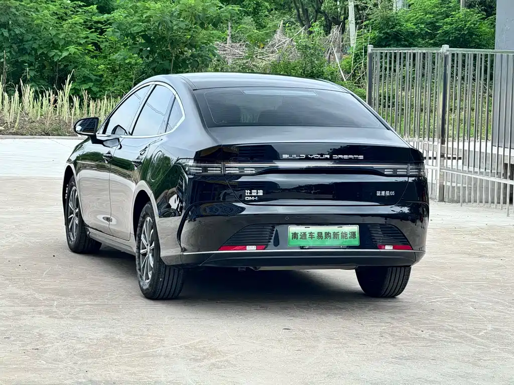BYD Destroyer 05 2023 Champion DM-i 55KM Luxury