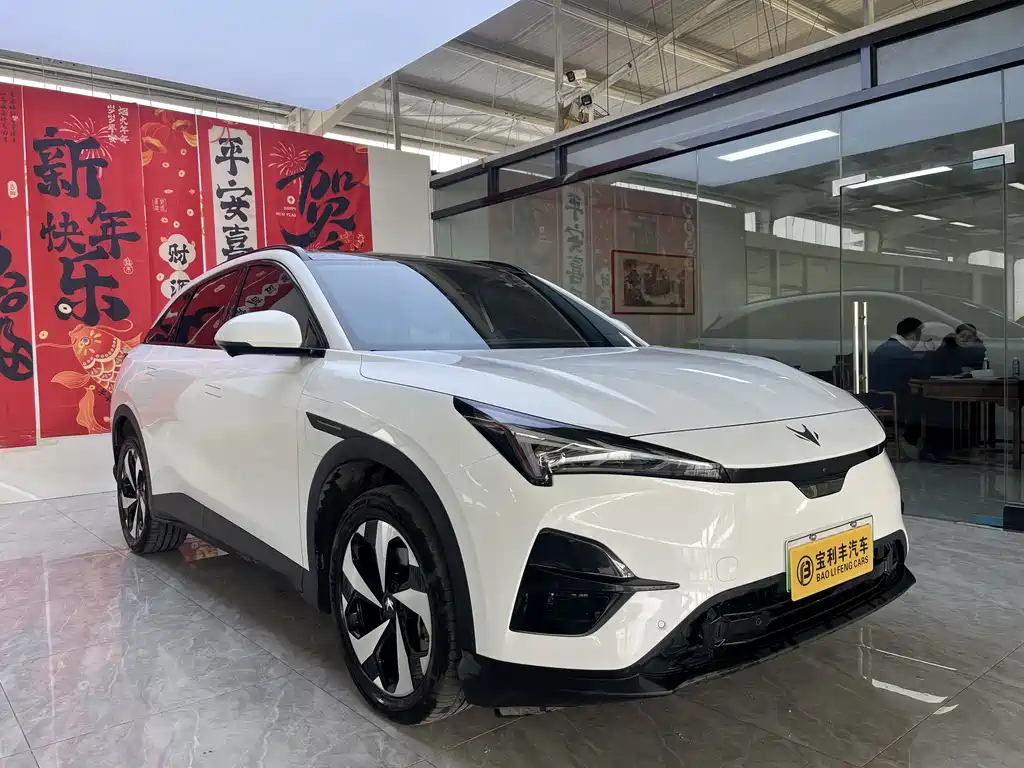 ARCFOX EXTREME FOX POLAR FOX ALPHA T5