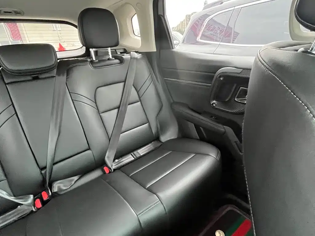 Haval Big Dog PLUS — миниатюра 4