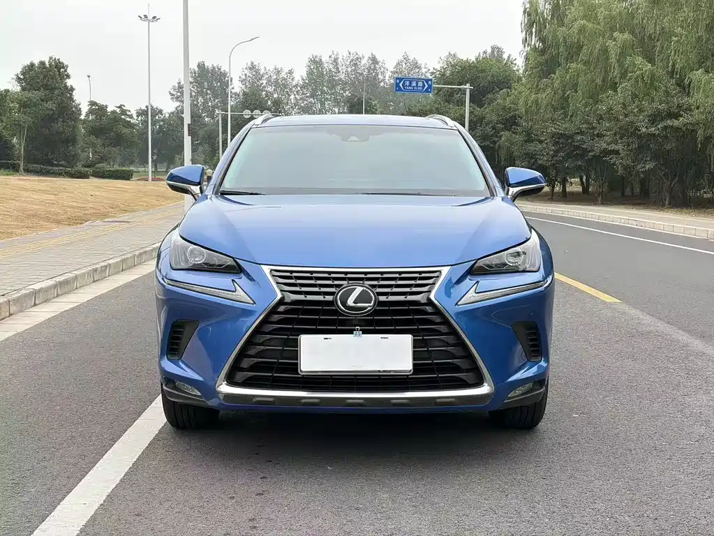 Lexus NX — фотографии объявления, Фото 4