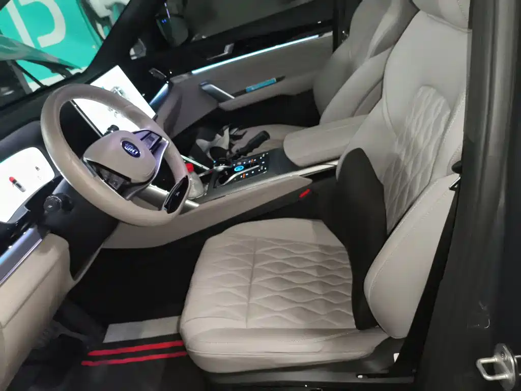 BYD Tang New Energy — миниатюра 16