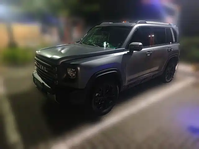 2025 Haval Raptor