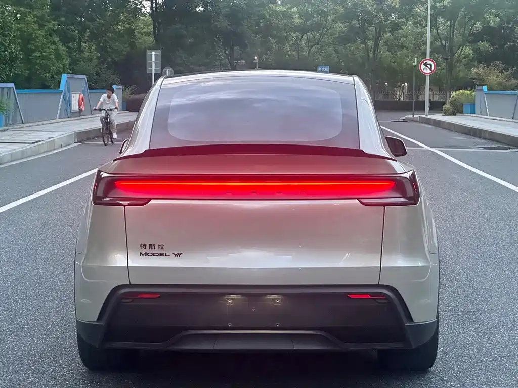 Tesla Model Y L — миниатюра 7