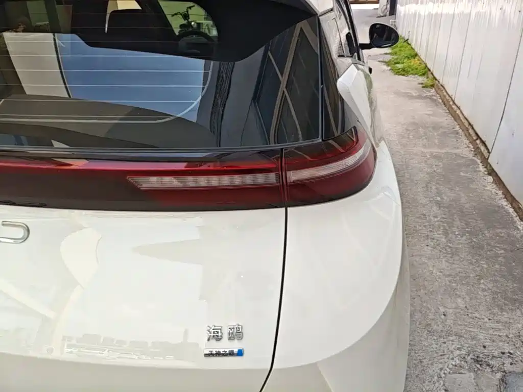 BYD Seagull 2025 Smart Drive 305km Freedom