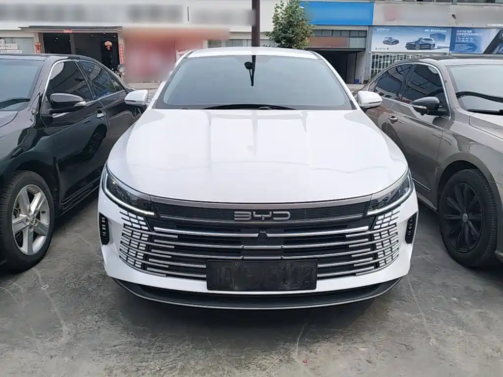 BYD Destroyer 05 2024 DM-i 55KM Luxury