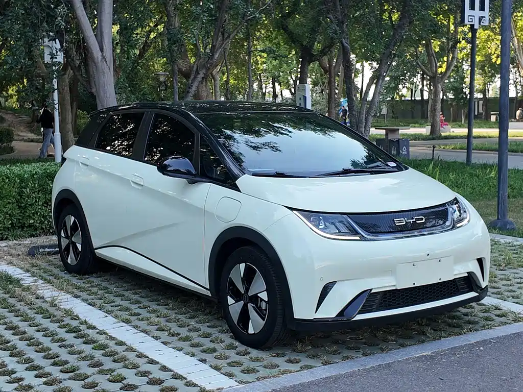 BYD Dolphin — миниатюра 2
