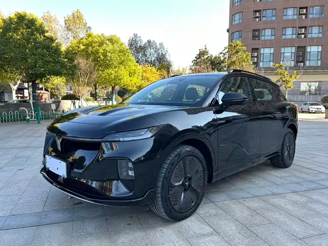 VOYAH LAN TU ZHIYIN 2025