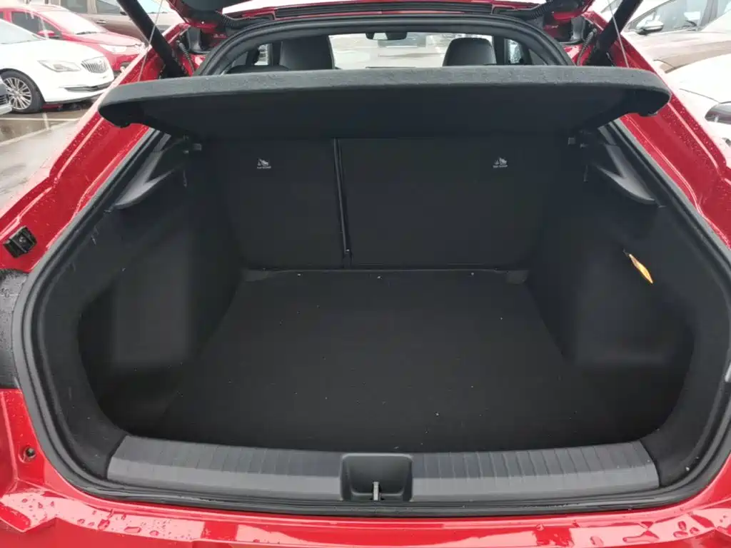 Volkswagen Lamando — миниатюра 19