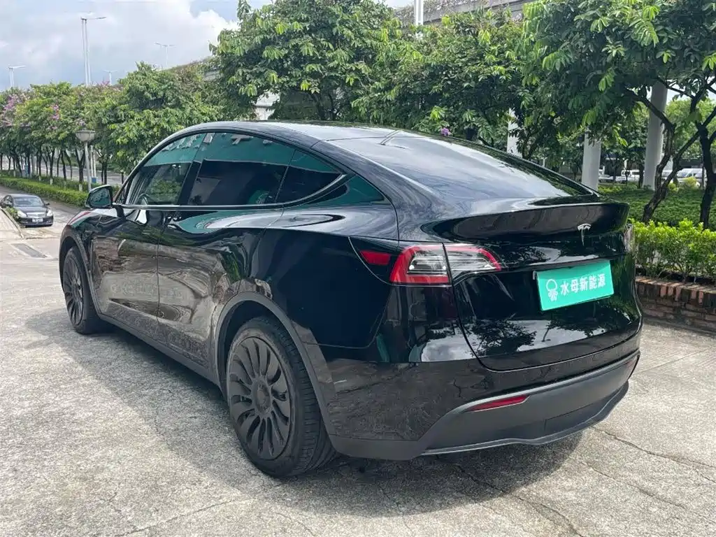 Tesla Model Y — миниатюра 6