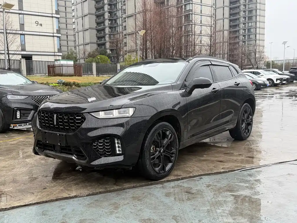 WEI PAI WEI BRAND VV7