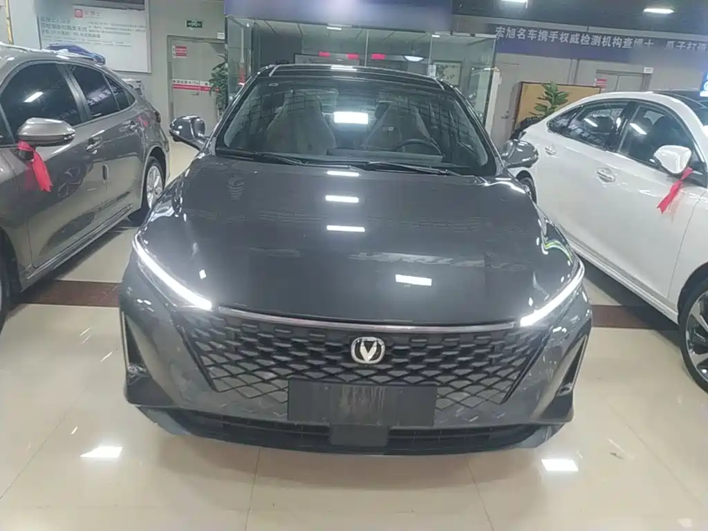 Changan Ruicheng PLUS — миниатюра 3