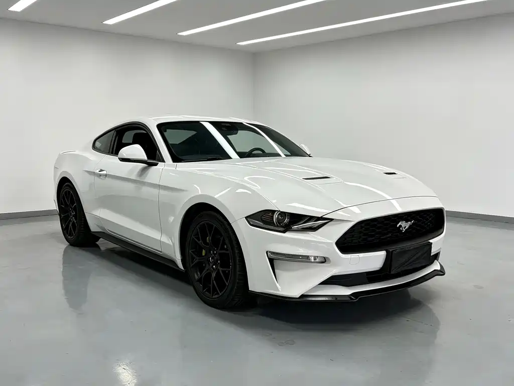 Ford Mustang — миниатюра 2