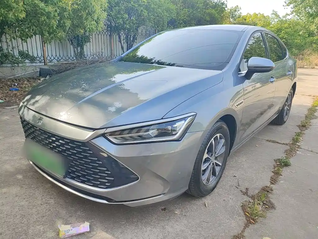 BYD Qin Plus 2024 Glory Edition DM-i 55KM Leading Type